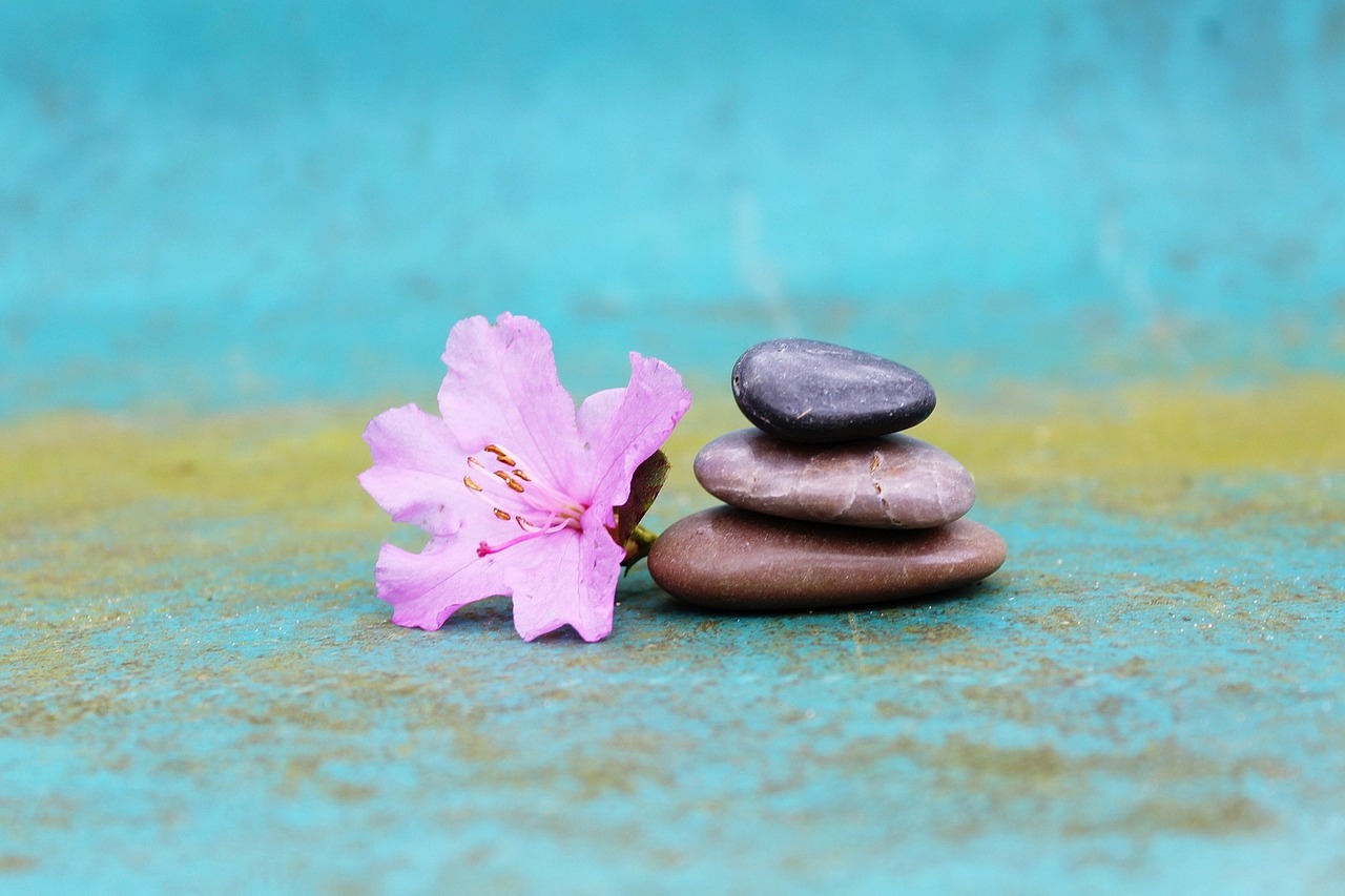 image zen